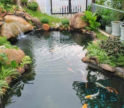 Mẫu thiết kế sân vườn