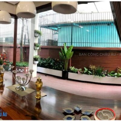 Mẫu trang trí sân vườn Việt Hưng