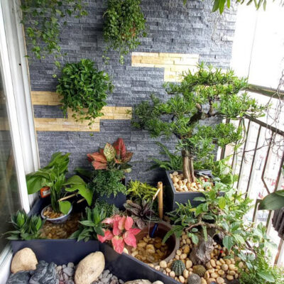 Mẫu trang trí tiểu cảnh ban công