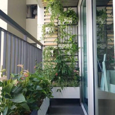 Mẫu khung sắt treo hoa ban công