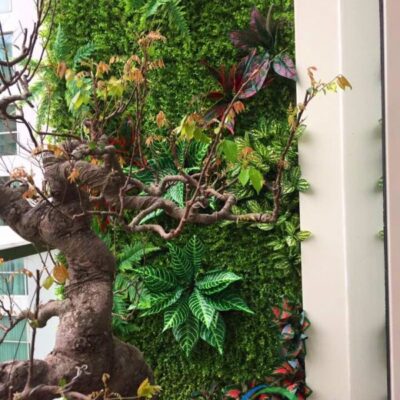 Tường cây giả chung cư