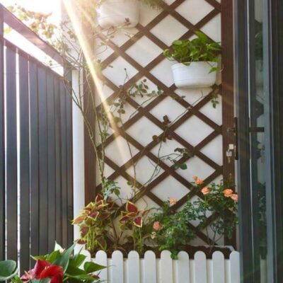 Mẫu giàn tường treo hoa - 01