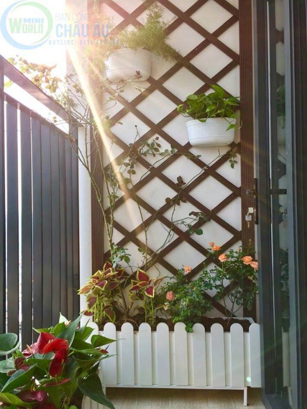 Mẫu giàn tường treo hoa - 01 Mẫu giàn tường treo hoa - 01