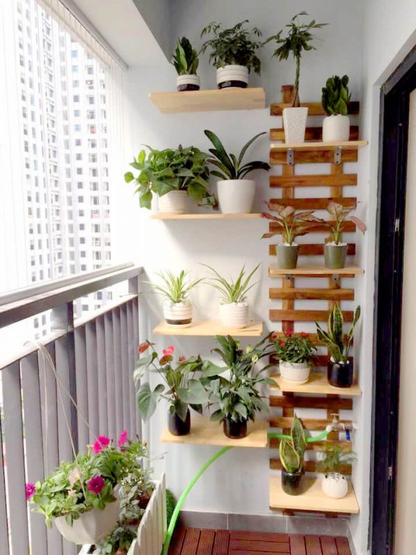 Mẫu giàn treo hoa gỗ tự nhiên