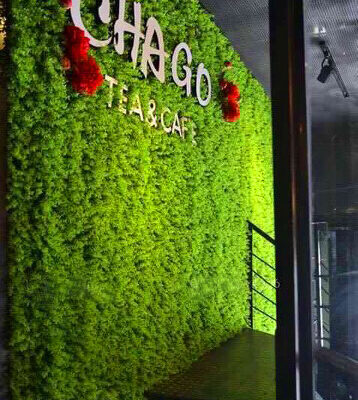 Tường cây giả cửa hàng