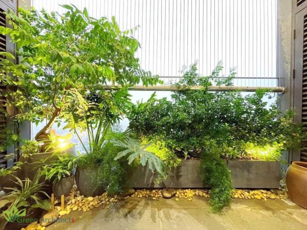 Mẫu chậu cây và sỏi Decor Mẫu chậu cây và sỏi Decor